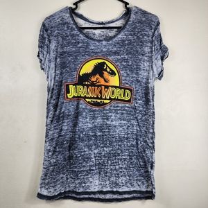 Jurassic World Women’s Gray Short Sleeve Burnout Graphic T Shirt Medium